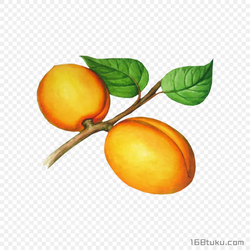 手绘水果桃子