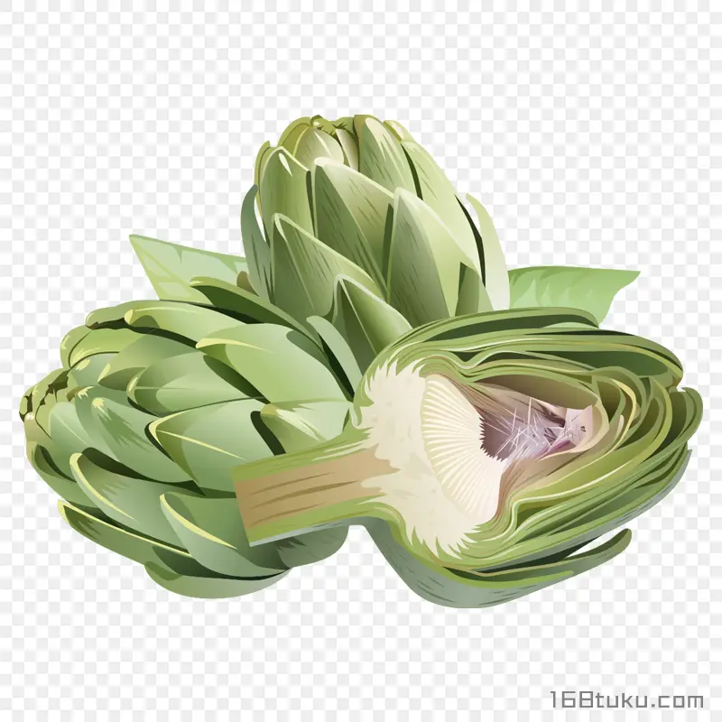 手绘切开菜蓟洋蓟朝鲜蓟蔬菜png素材免抠