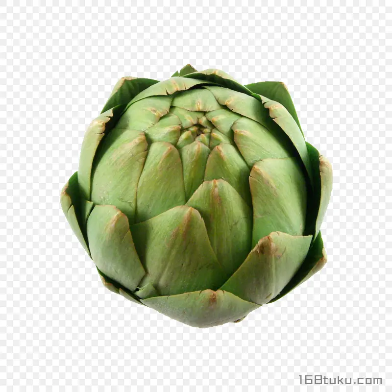 菜蓟洋蓟朝鲜蓟蔬菜png素材免抠