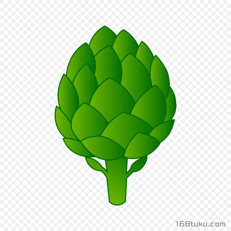 手绘菜蓟洋蓟朝鲜蓟蔬菜png素材免抠