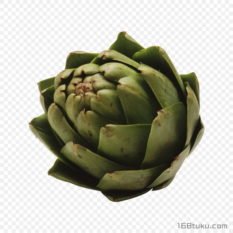 菜蓟洋蓟朝鲜蓟蔬菜png素材免抠