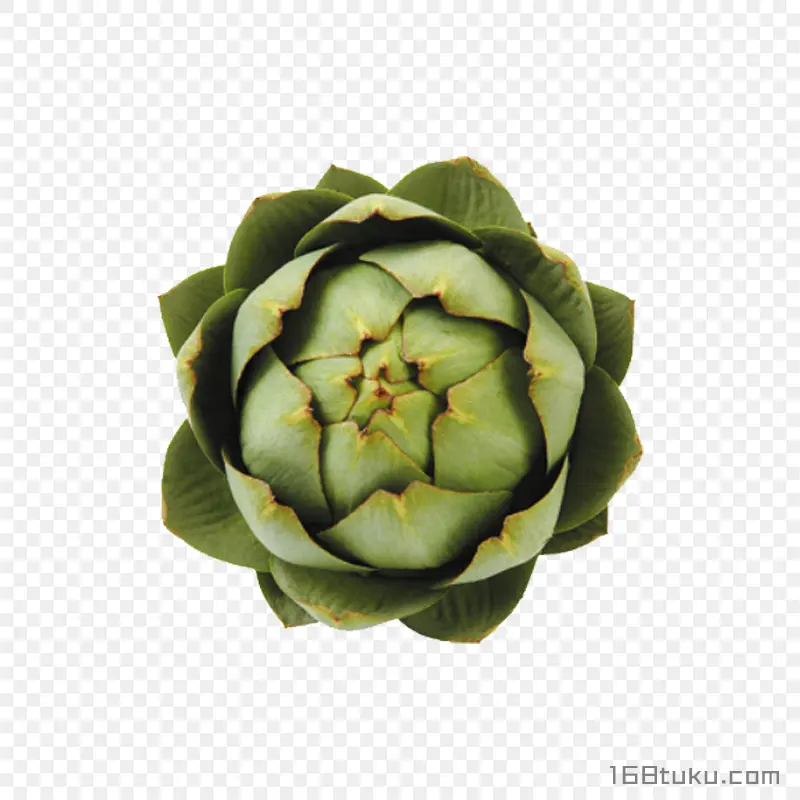 菜蓟洋蓟朝鲜蓟蔬菜png素材免抠