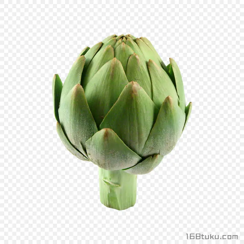 菜蓟洋蓟朝鲜蓟蔬菜png素材免抠