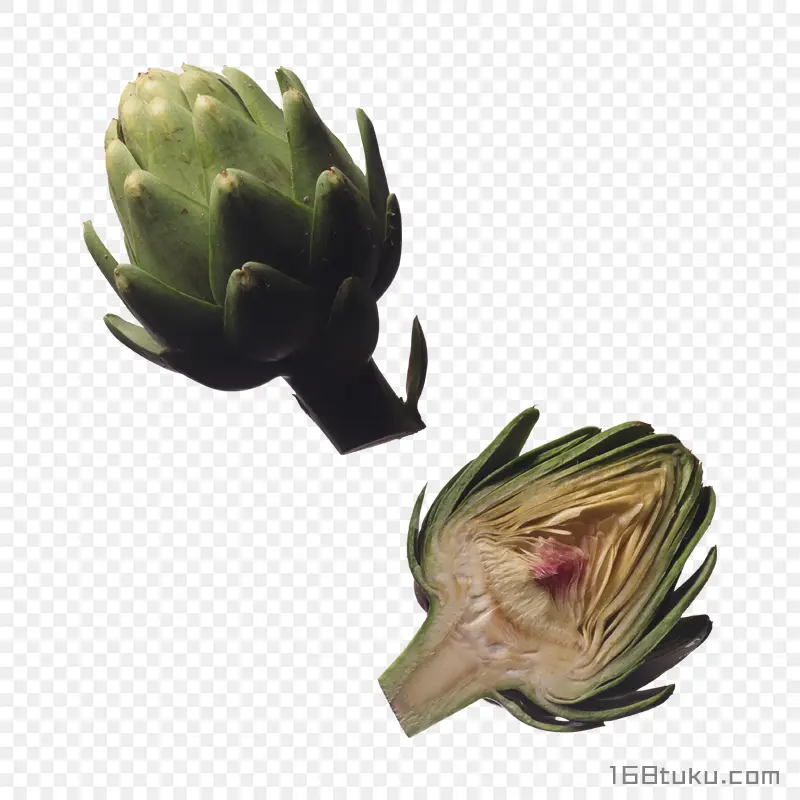 切开菜蓟洋蓟朝鲜蓟蔬菜png素材免抠