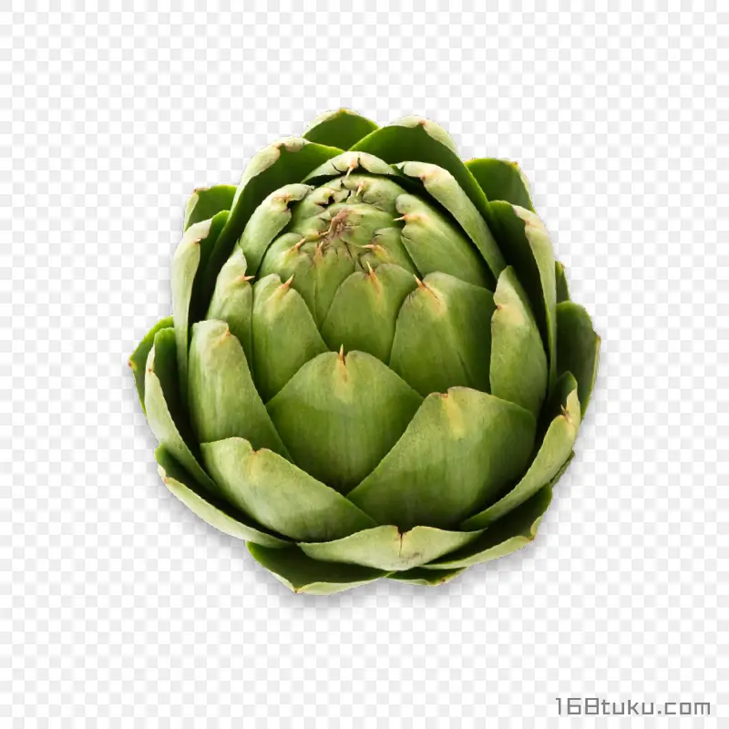 菜蓟洋蓟朝鲜蓟蔬菜png素材免抠