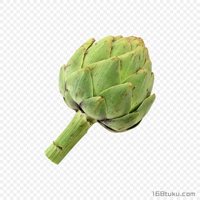 菜蓟洋蓟朝鲜蓟蔬菜png素材免抠