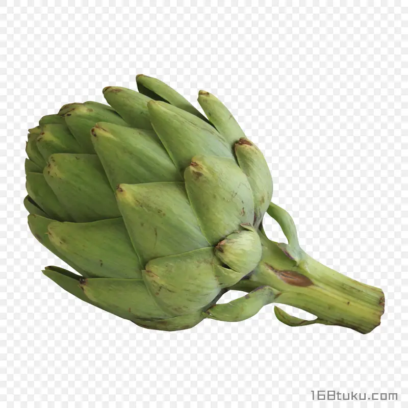 菜蓟洋蓟朝鲜蓟蔬菜png素材免抠