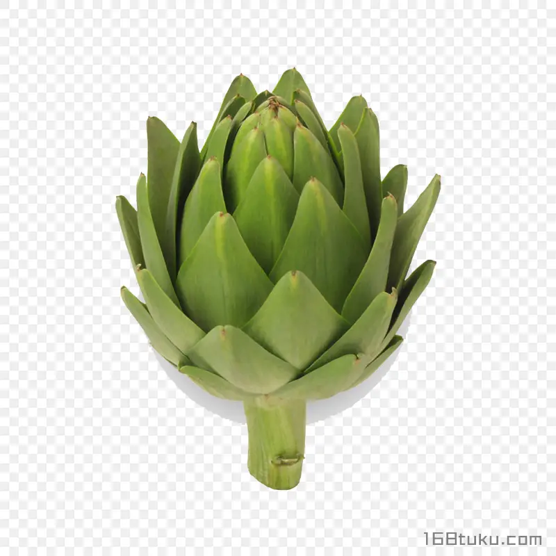 菜蓟洋蓟朝鲜蓟蔬菜png素材免抠