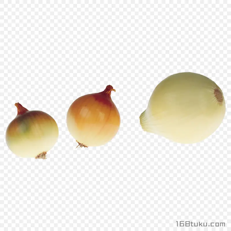 洋葱白葱头洋葱头png素材