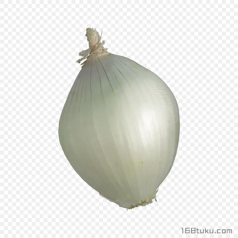 洋葱白葱头洋葱头png素材