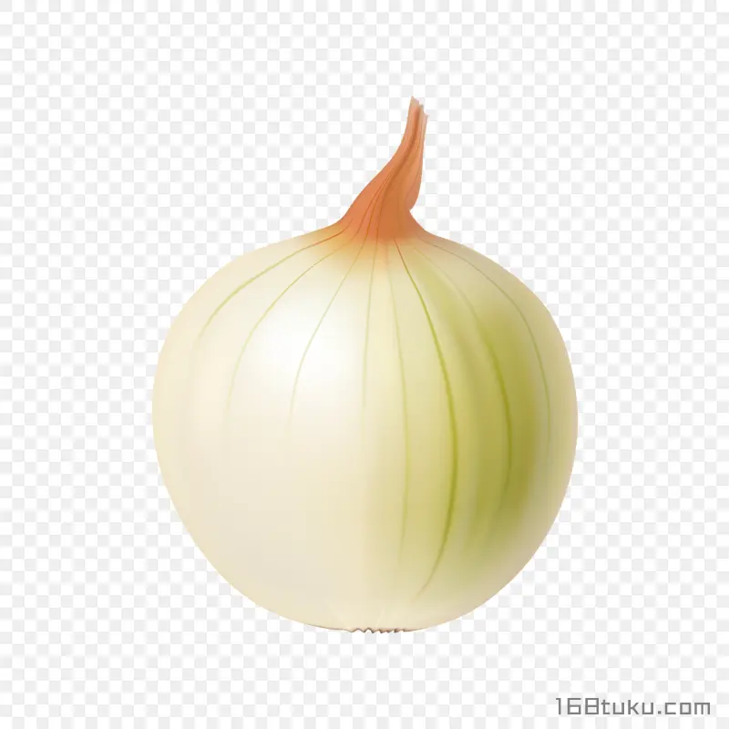 洋葱白葱头洋葱头png素材