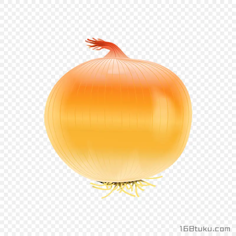 手绘洋葱玉葱洋葱头png素材