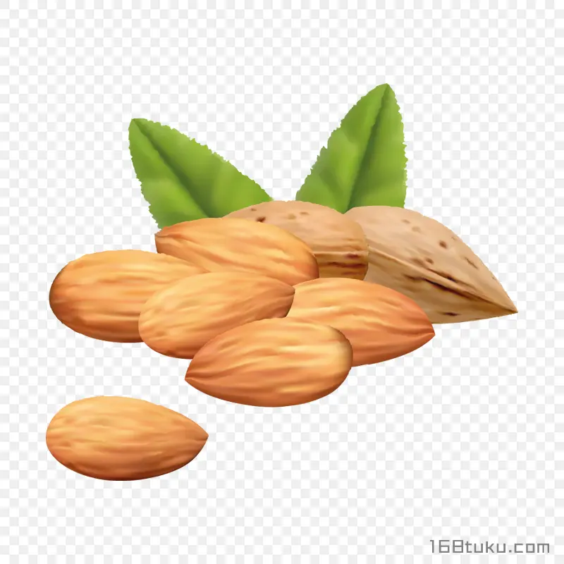 杏仁