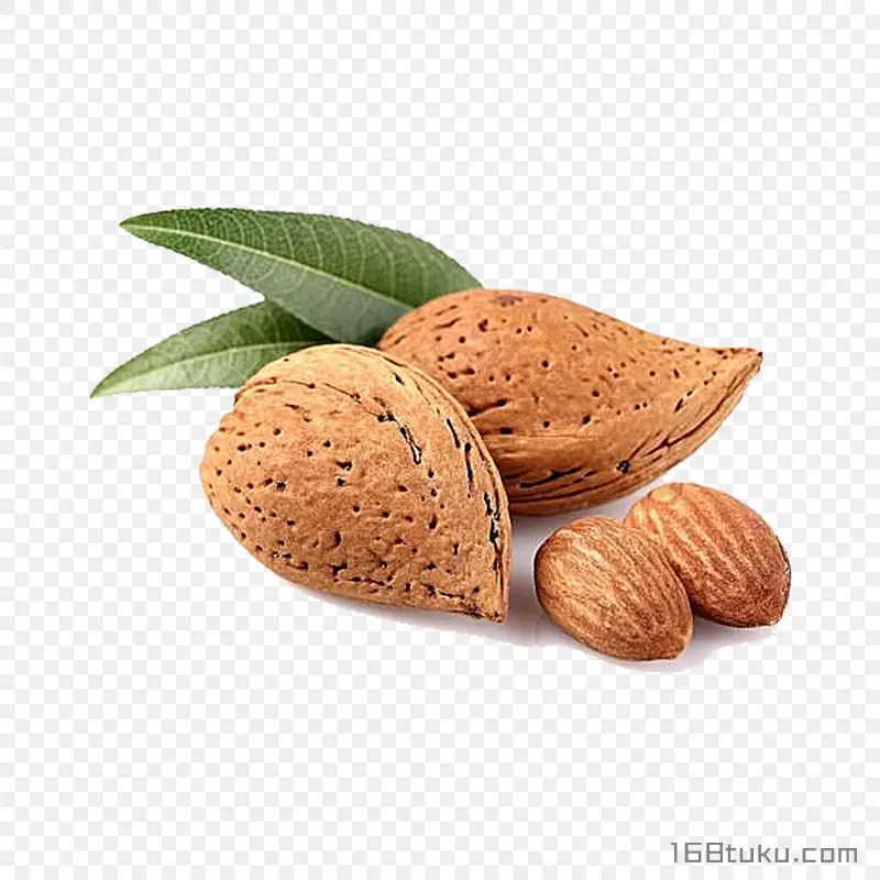 杏仁