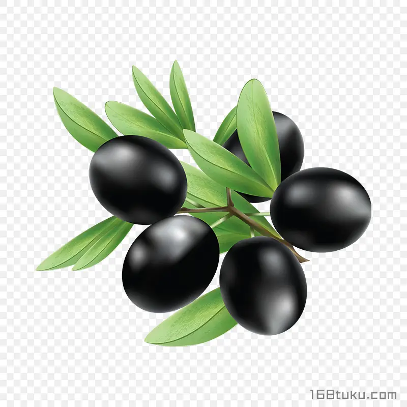 手绘橄榄黑橄榄油橄榄png素材