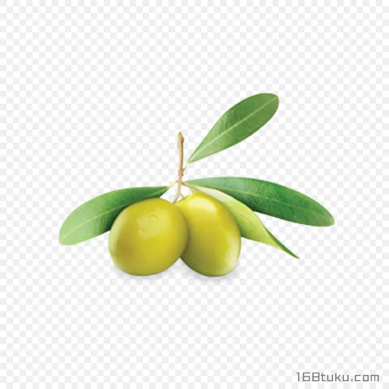 橄榄黄榄青果png素材