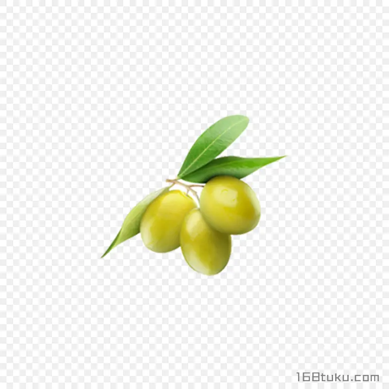 橄榄黄榄青果png素材