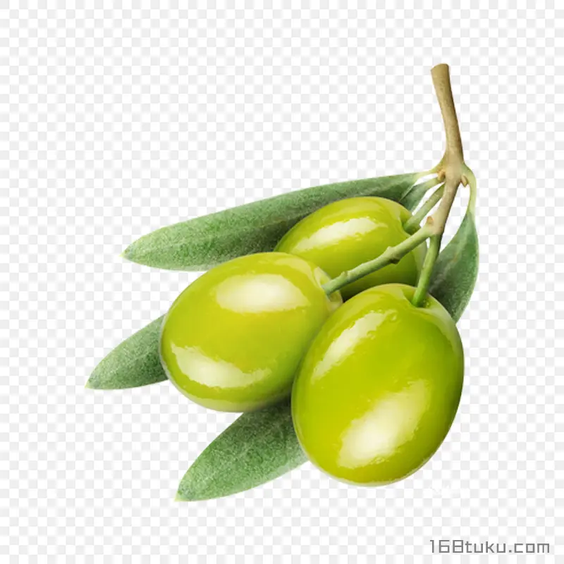 橄榄黄榄青果png素材