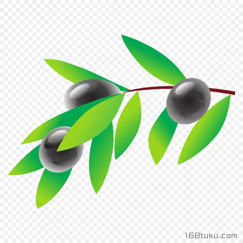 手绘橄榄黑橄榄油橄榄png素材