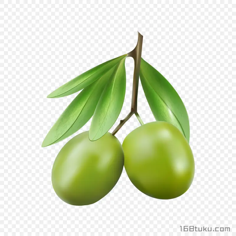 橄榄黄榄青果png素材
