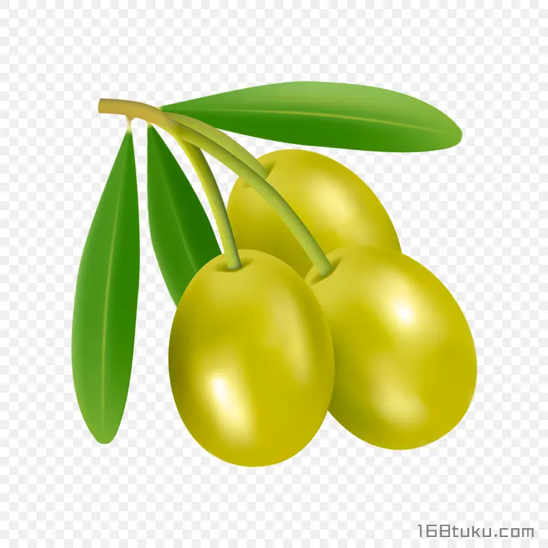 手绘橄榄黄榄青果png素材