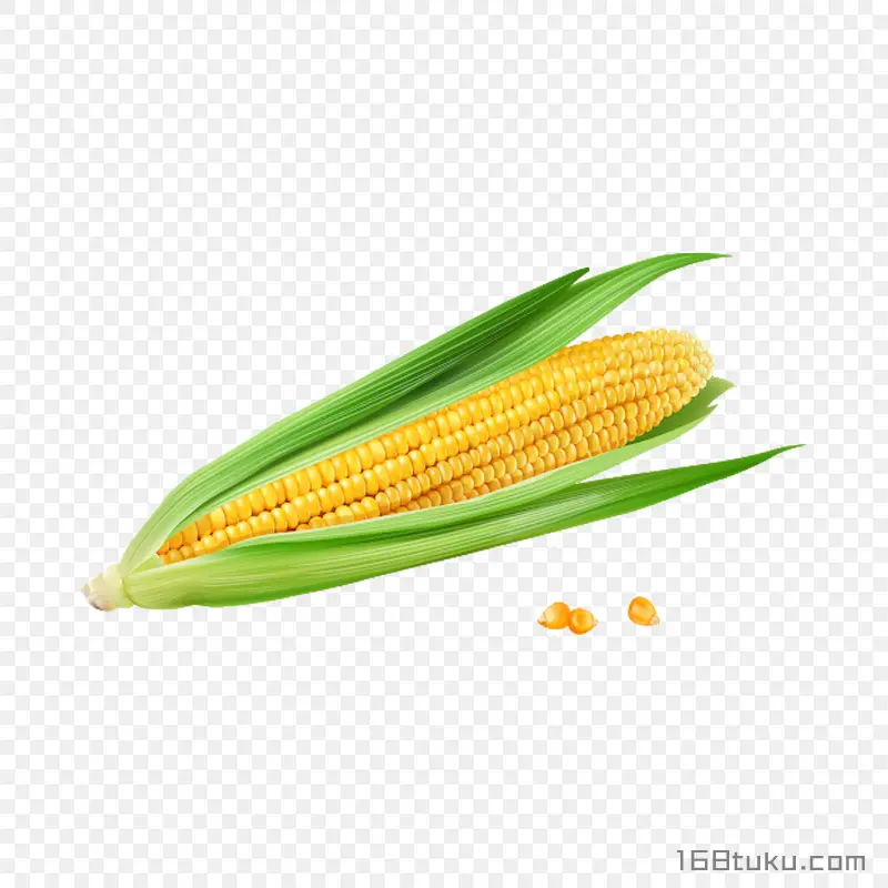 玉米玉米棒玉米粒png素材