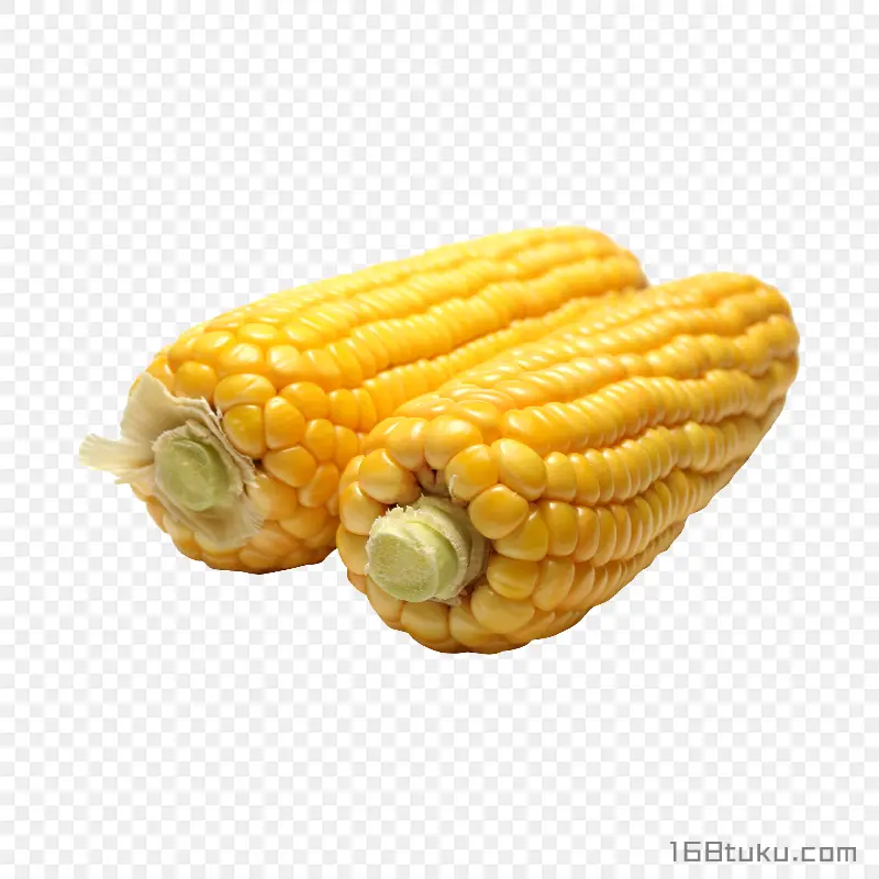 玉米玉米棒png素材
