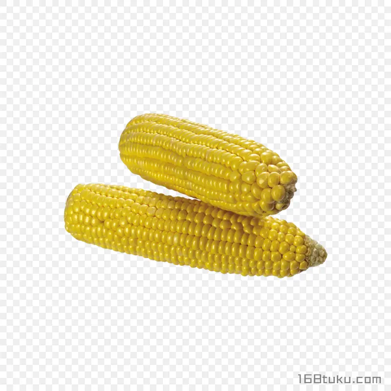 玉米玉米棒png素材