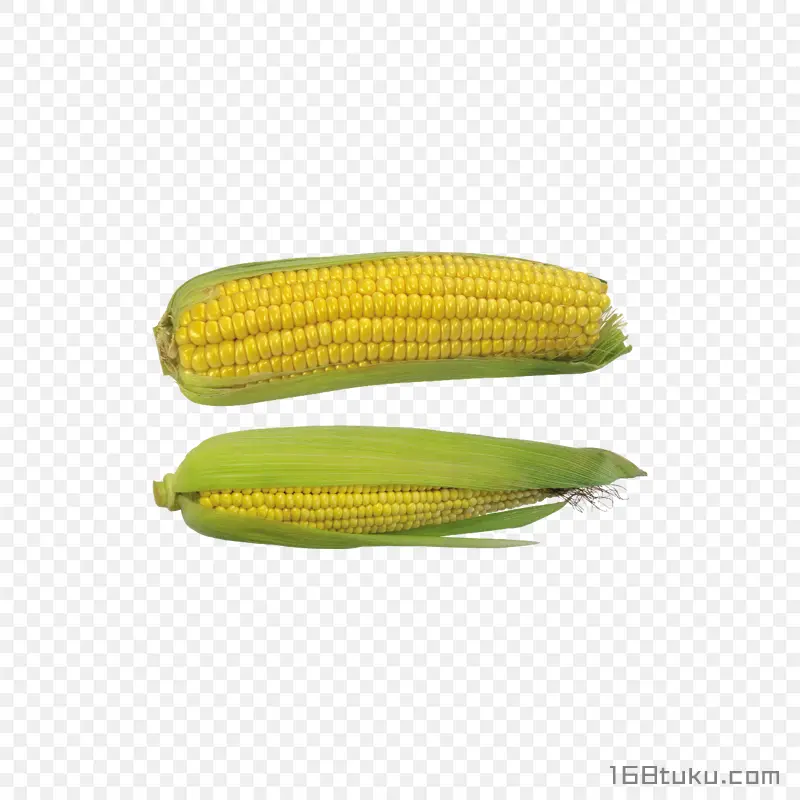 玉米玉米棒png素材