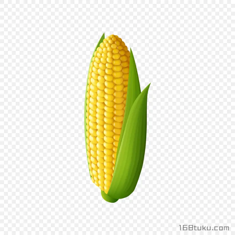 手绘玉米玉米棒png素材