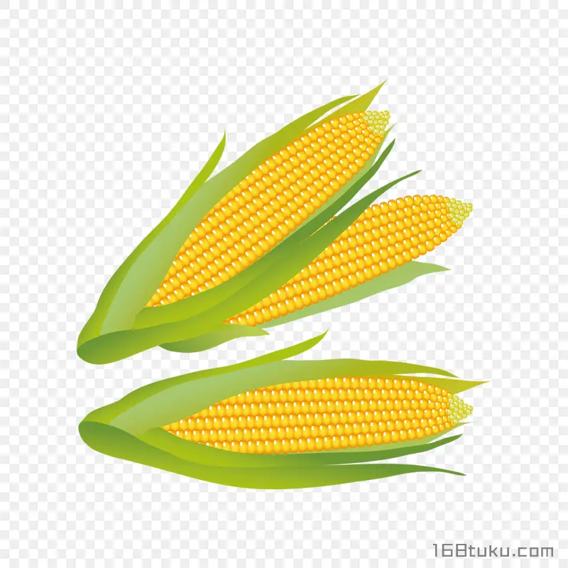 手绘玉米玉米棒png素材
