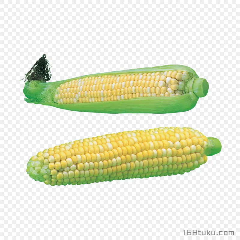 玉米玉米棒png素材