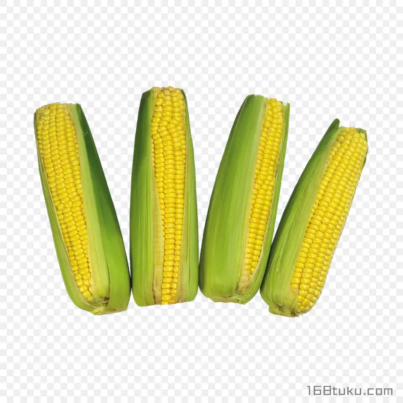 玉米玉米棒png素材
