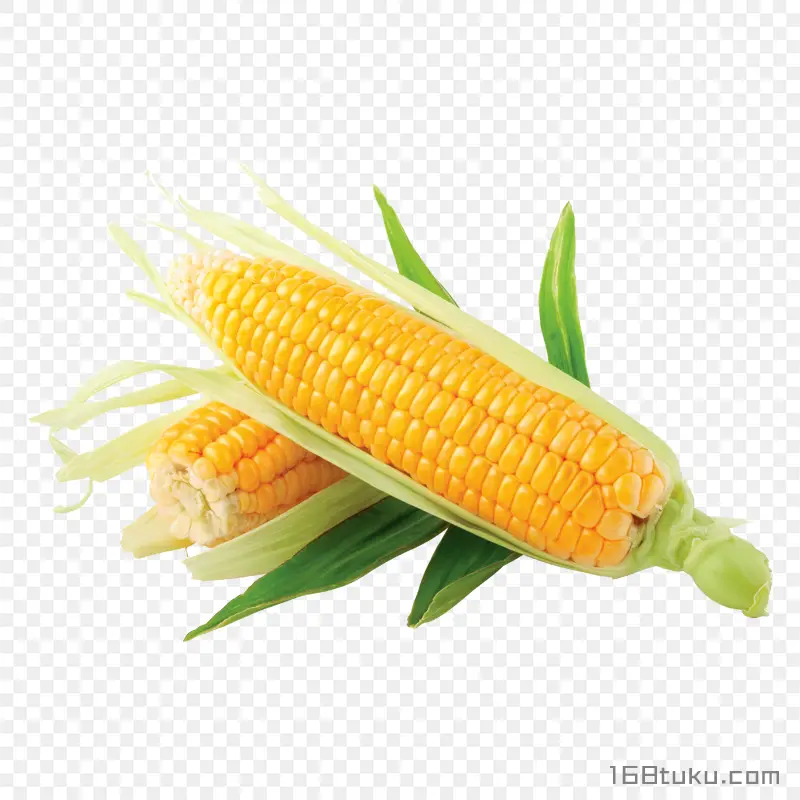 玉米玉米棒png素材