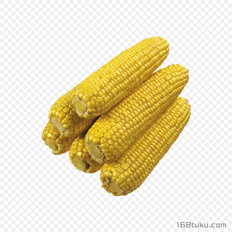 玉米玉米棒png素材