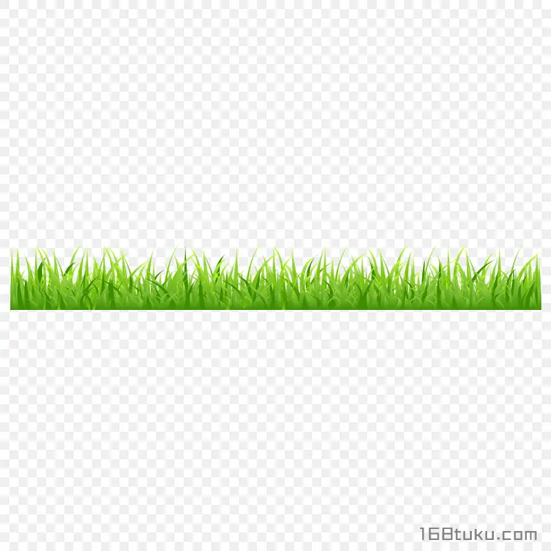 草地草丛