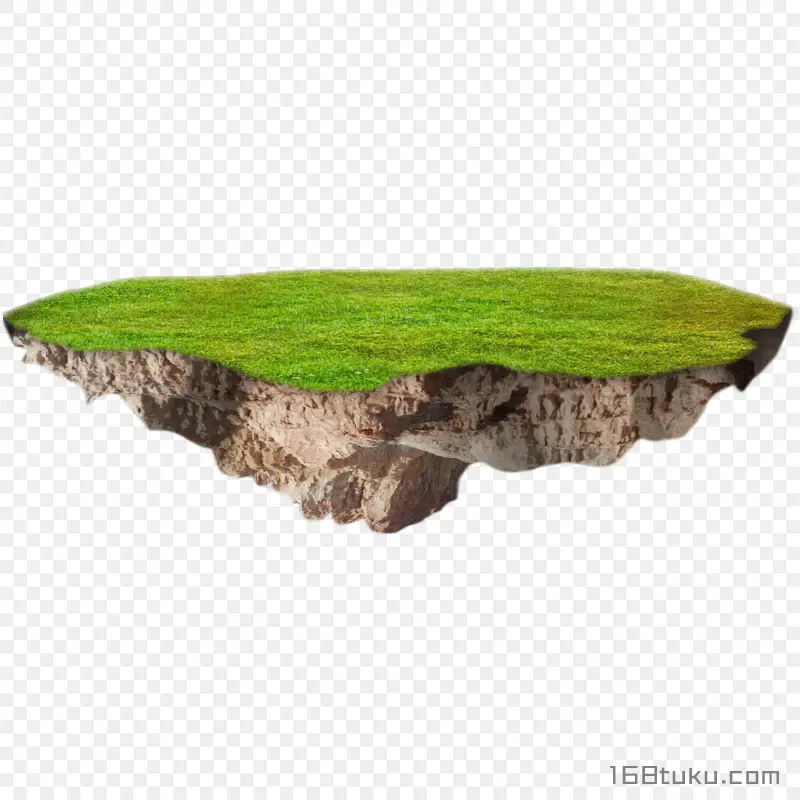 草地草坪