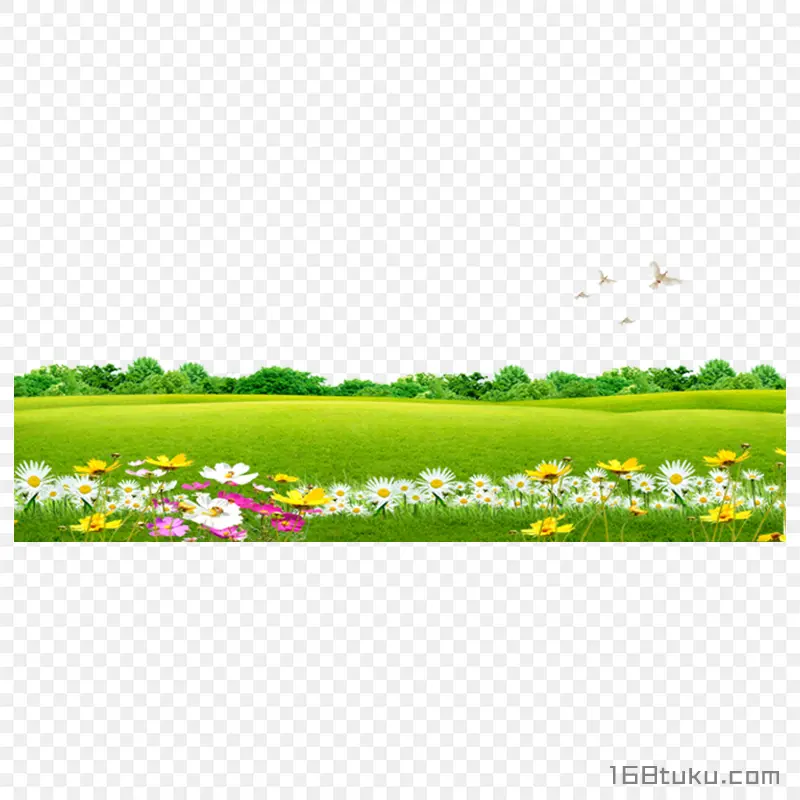 草地花草