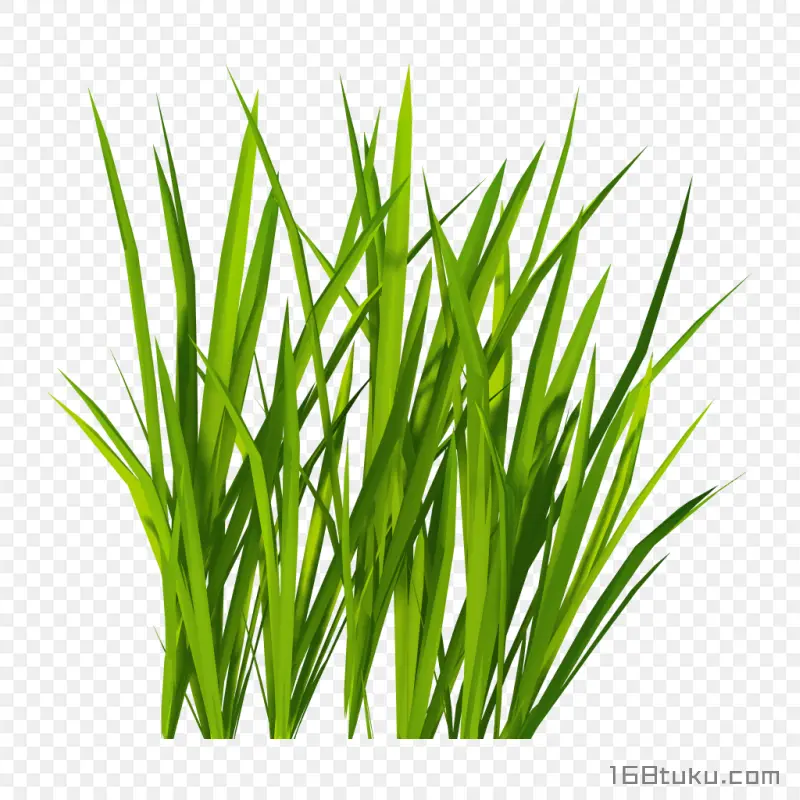 草丛