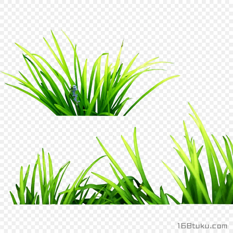 草堆草丛