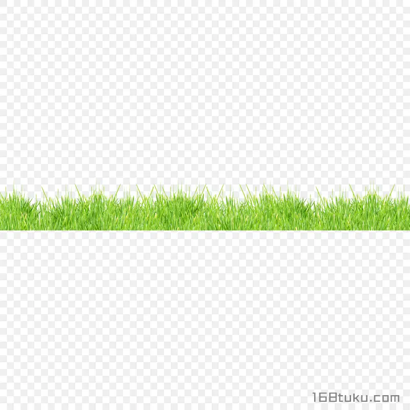 草地草丛