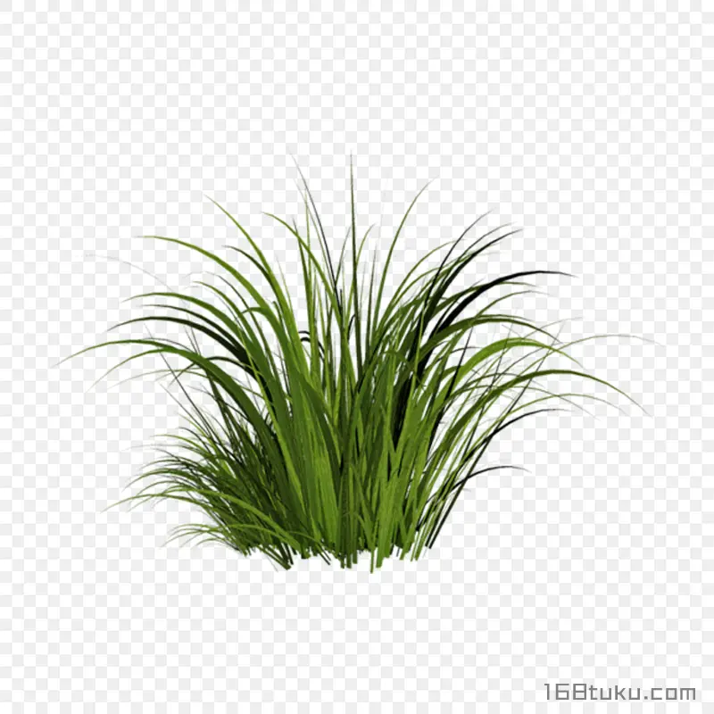 草丛