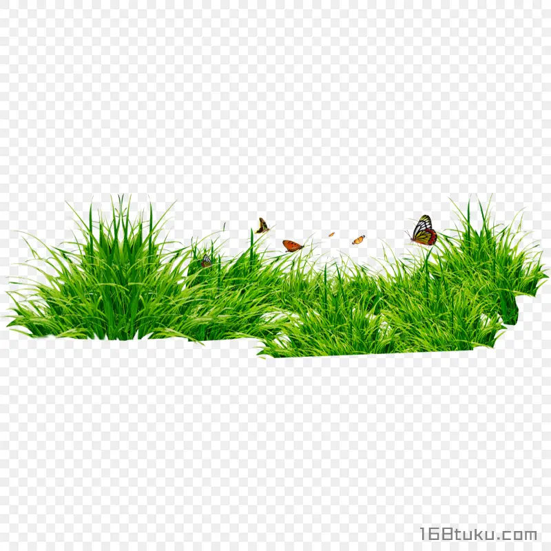 草地草丛