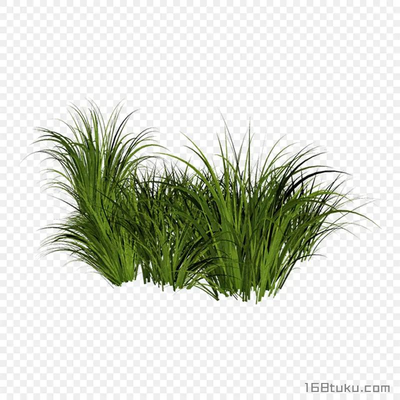 草丛