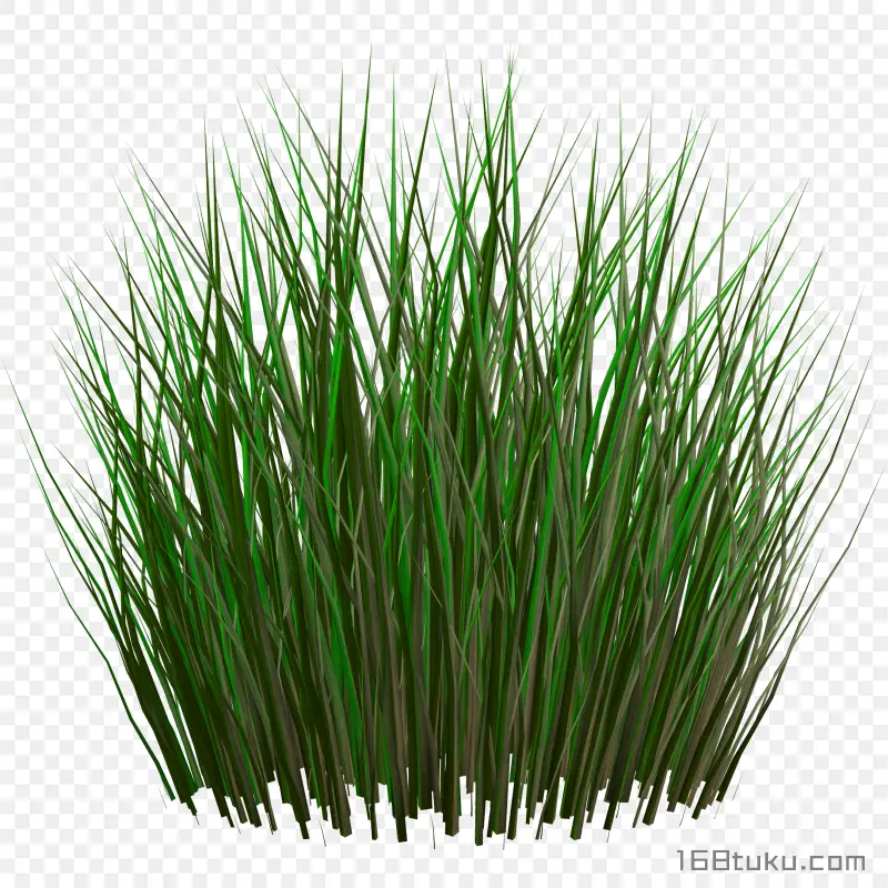 草丛草堆