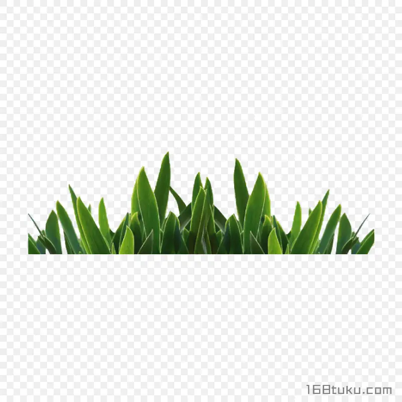 草丛