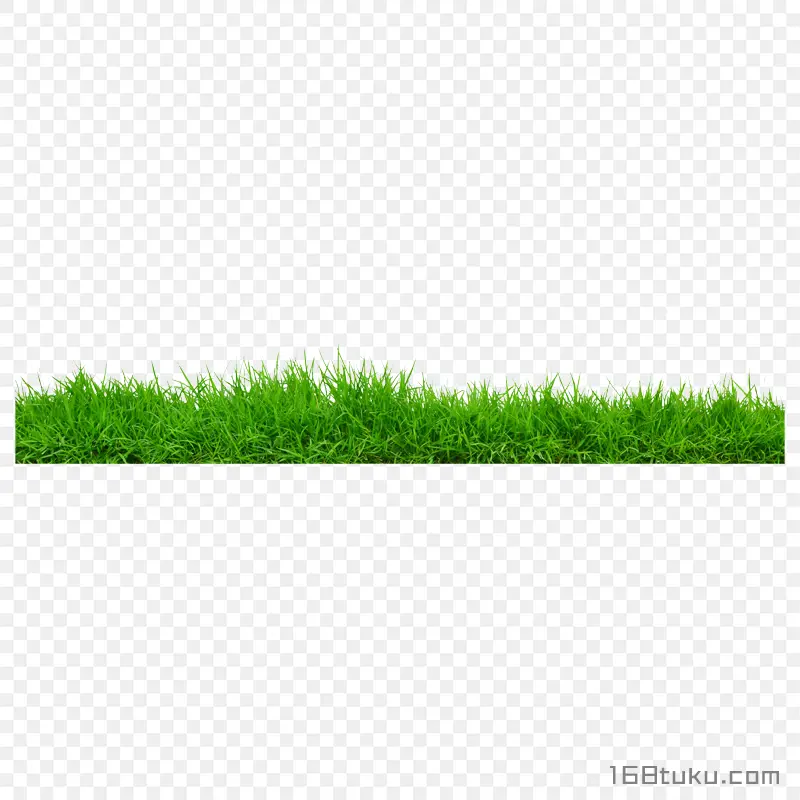 草丛草地