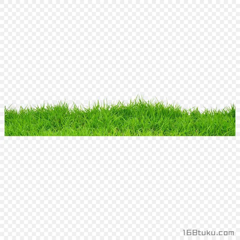 草丛草地
