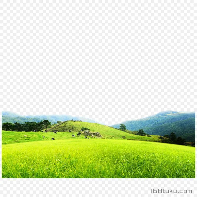 草原