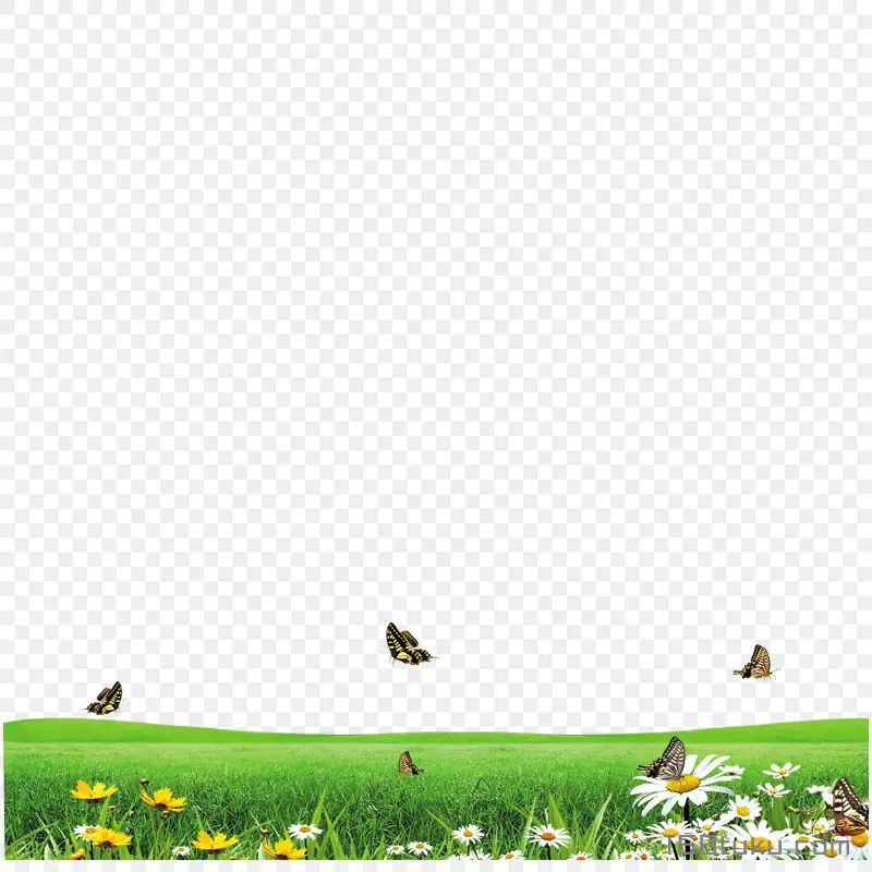 卡通草原草丛